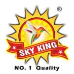 skykings logo